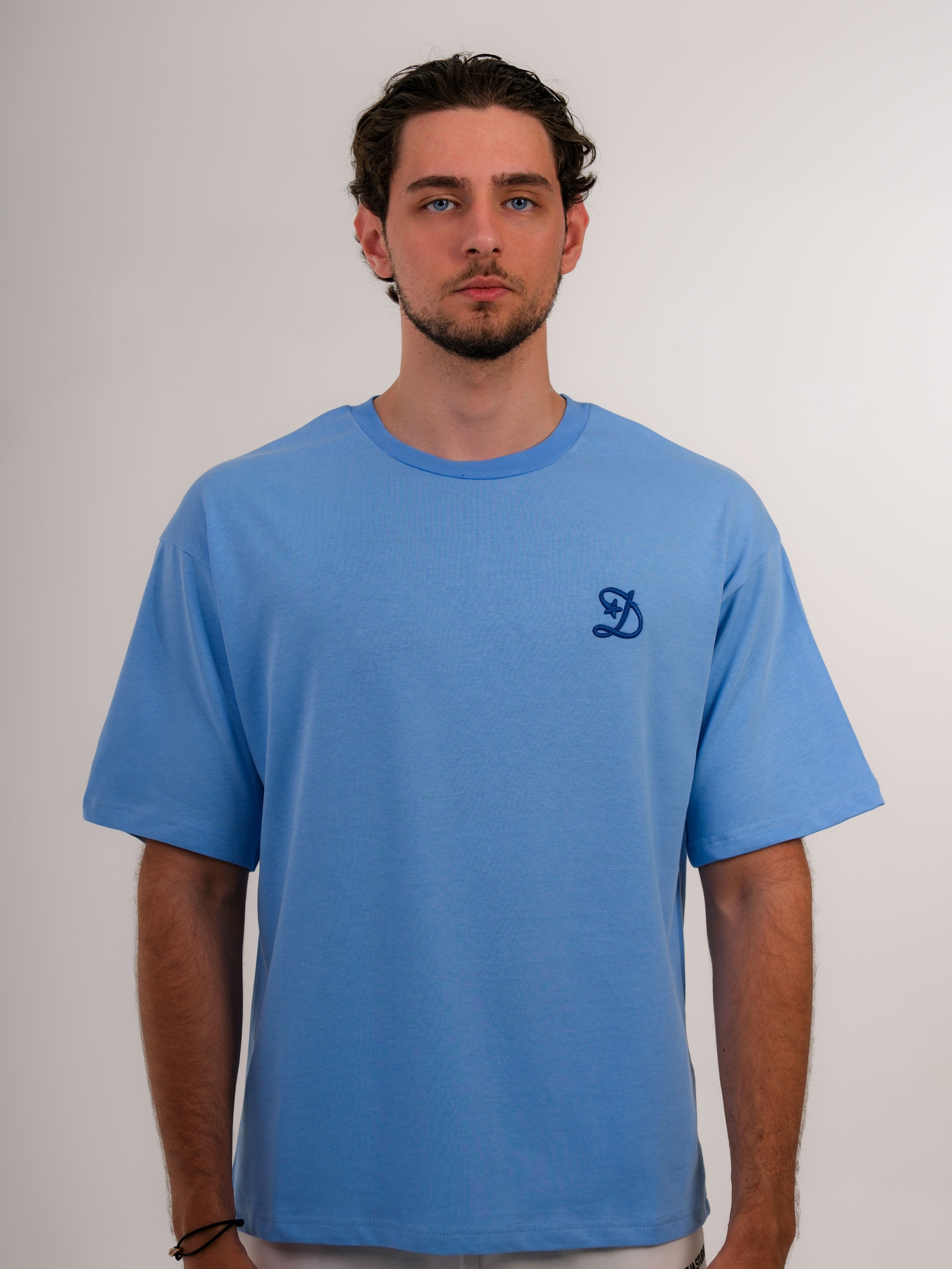 Basic Embroidered Baby Blue Tshirt